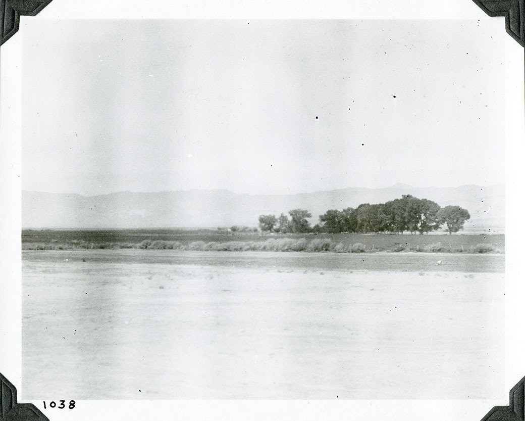 This is an historic black and white photograph from the Scotty's Castle Historic Photograph Collection, Death Valley National Park of rural scene. Flat dirt area in foreground. Mid-ground is line of low brush along a field. Grown trees line back of field. Faint mountains in background. Number in black ink in lower left corner.