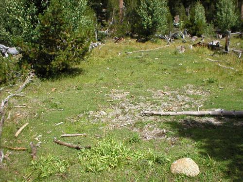 Stock camp, high impact grazing site, Sept. 2003 at Woods Creek Crossing Meadow, Sequoia and Kings Canyon National Park