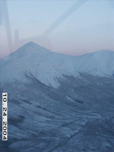 7 Gates of the Arctic National Park and Preserve Koyukuk Moose Survey 2004