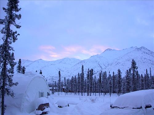 2 Gates of the Arctic National Park and Preserve Hares Survey 2004