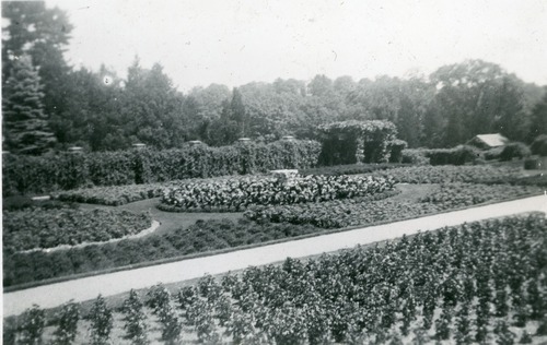 Annual Flower Garden in full bloom.