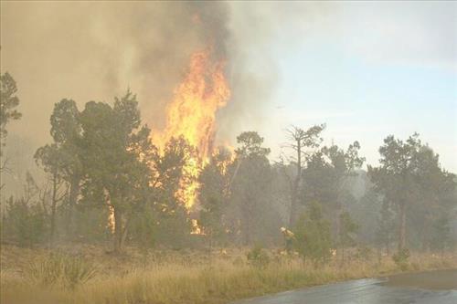 Full fire with black smoke in wooded areas during Long Mesa Fire at Mesa Verde National Park, July 29-Aug. 4, 2002