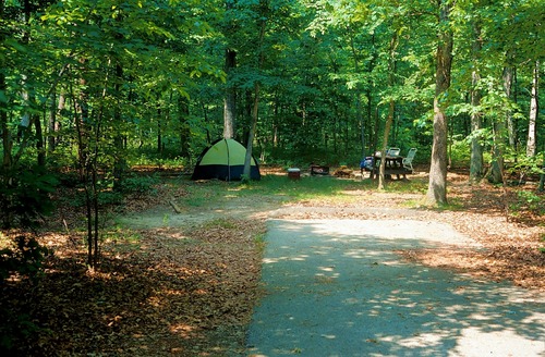 A camping area with a green tent, picnic table and chairs, and fire pit. 