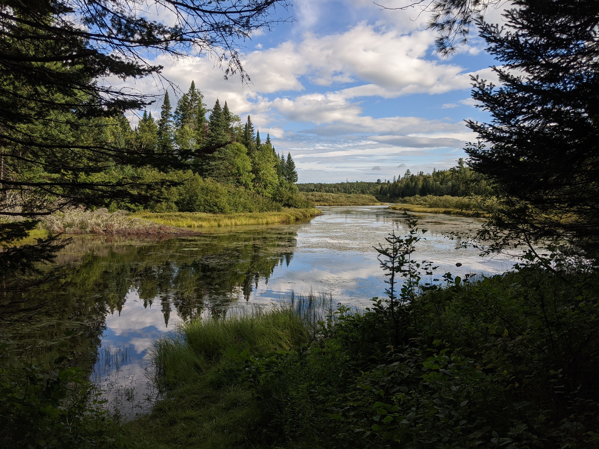 A reflective body of water from the bank.