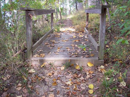 FOWA-Existing Conditions at Fort Washington Park, October 15, 2008