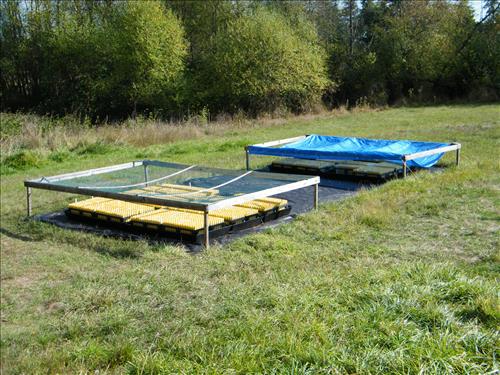 Prairie Restoration, Part 2