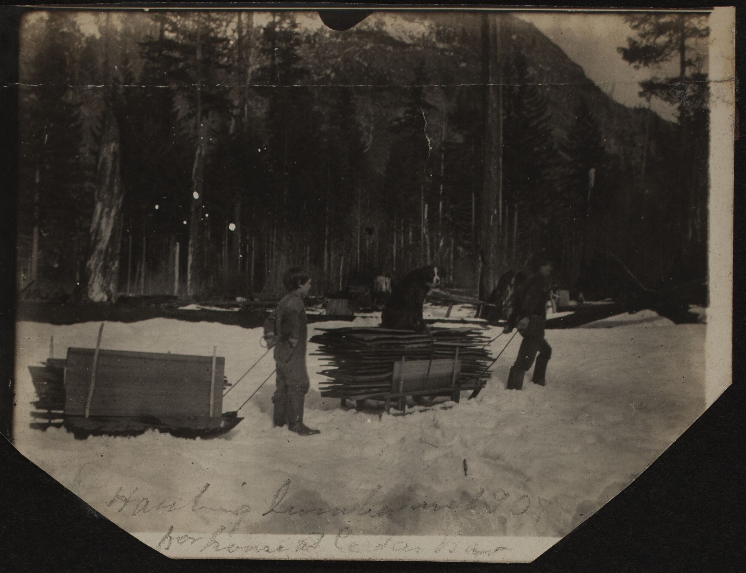 A man and a boy each pull a sled piled with cedar shakes.  A dog sits on the sled pulled by the man.  In the background, a snowy forest.