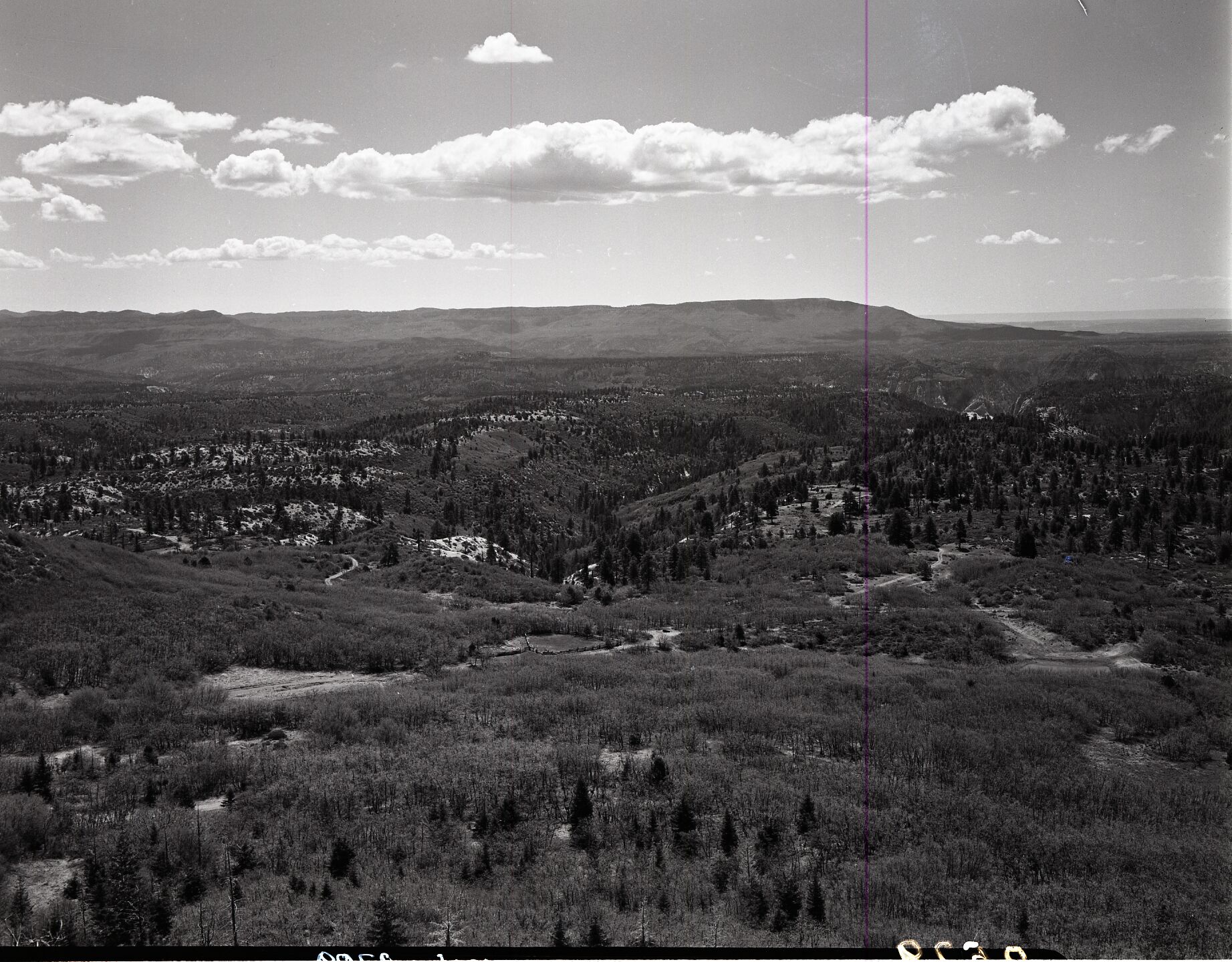 View looking north east from Lava Point, sections 30 and 31, T 39S, R 10 W for boundary change.