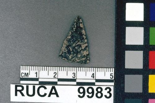 RUCA    9983 -- Point, Projectile