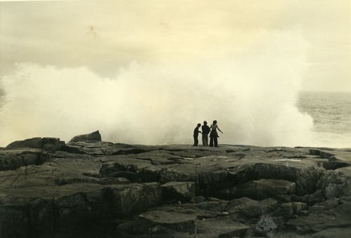 BREAKER ON SCHOODIC POINT