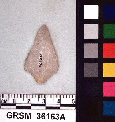 GRSM   36163 -- Point, Projectile