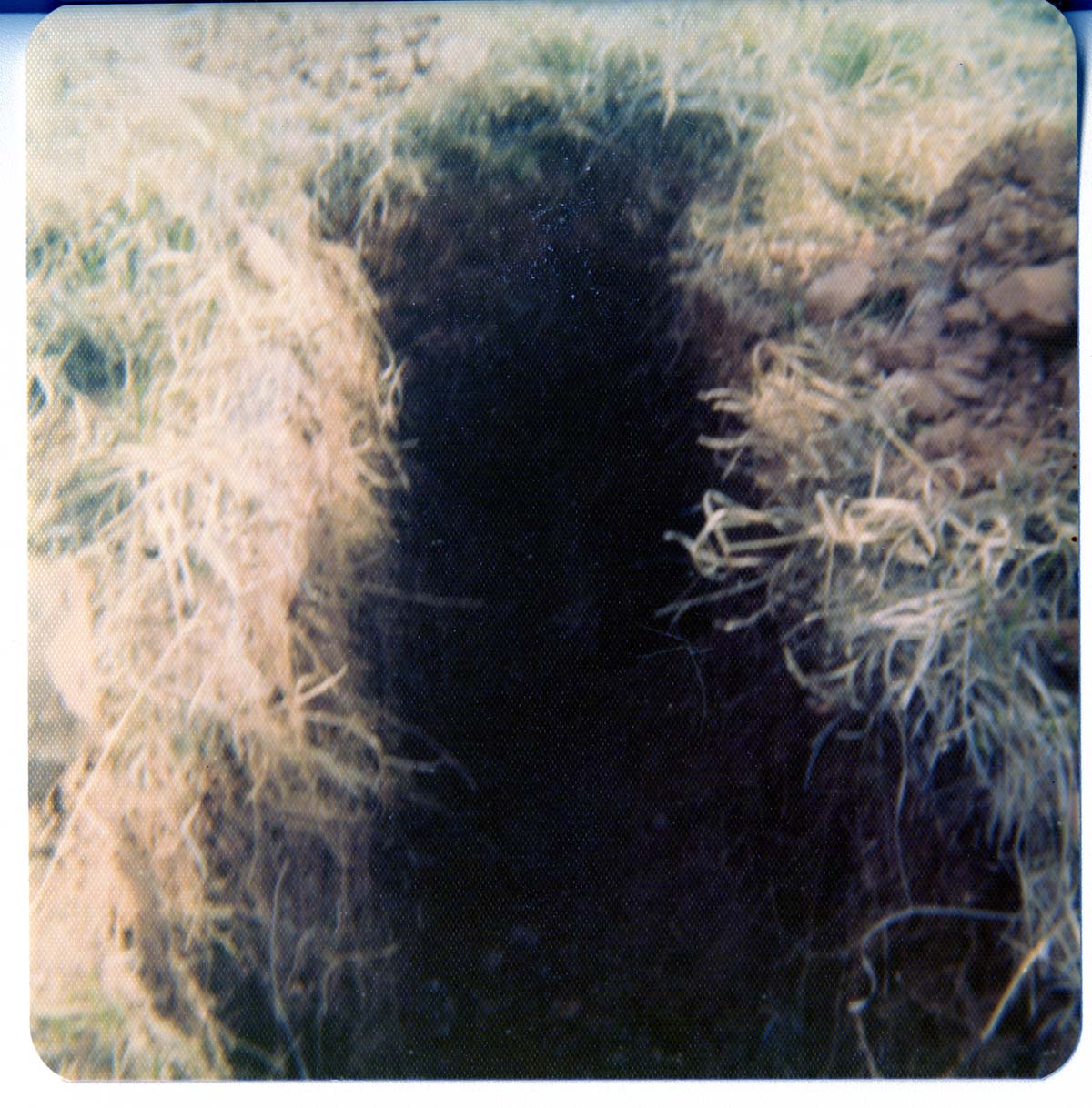 Personnel performing maintenance activities.