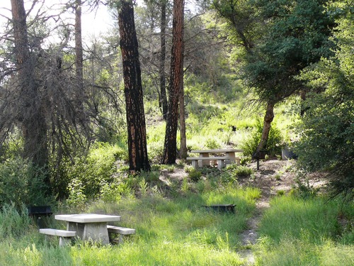 concrete picnic table and green grass.