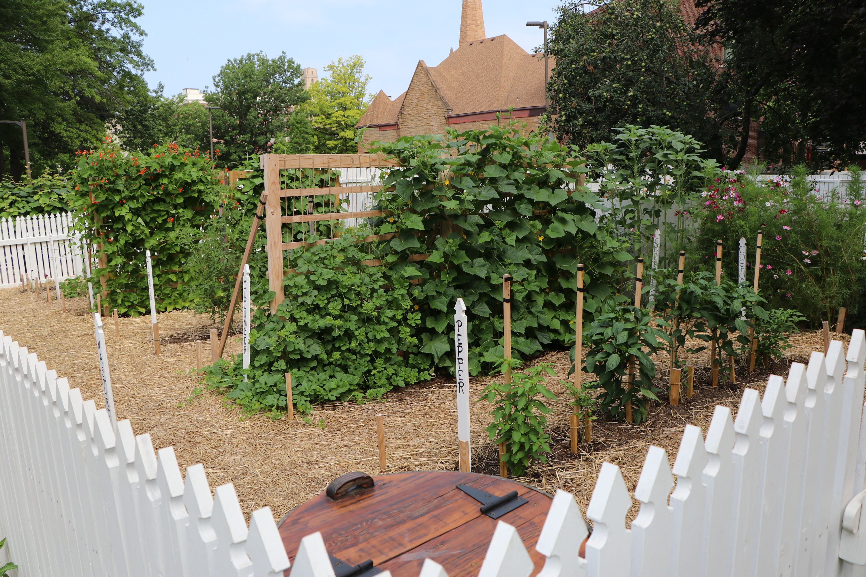 A garden with a variety of flowers, fruits, vegetables, and herbs surrounded by a white picket fence.