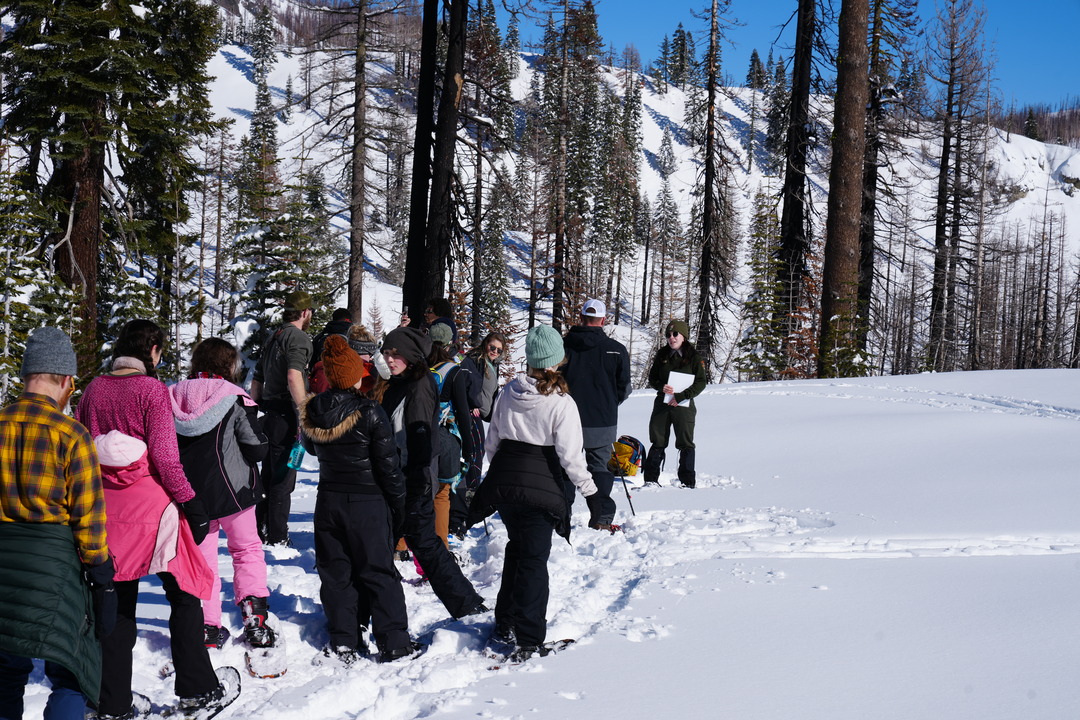 Ranger talks to a row of visitors on a guided snowshoe hike.