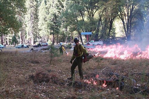 Crews using drip torches to ignite El Capitan prescribed burn, 2000, Yosemite National Park