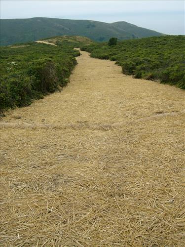 Rec Fee Project: Dias Ridge Trail