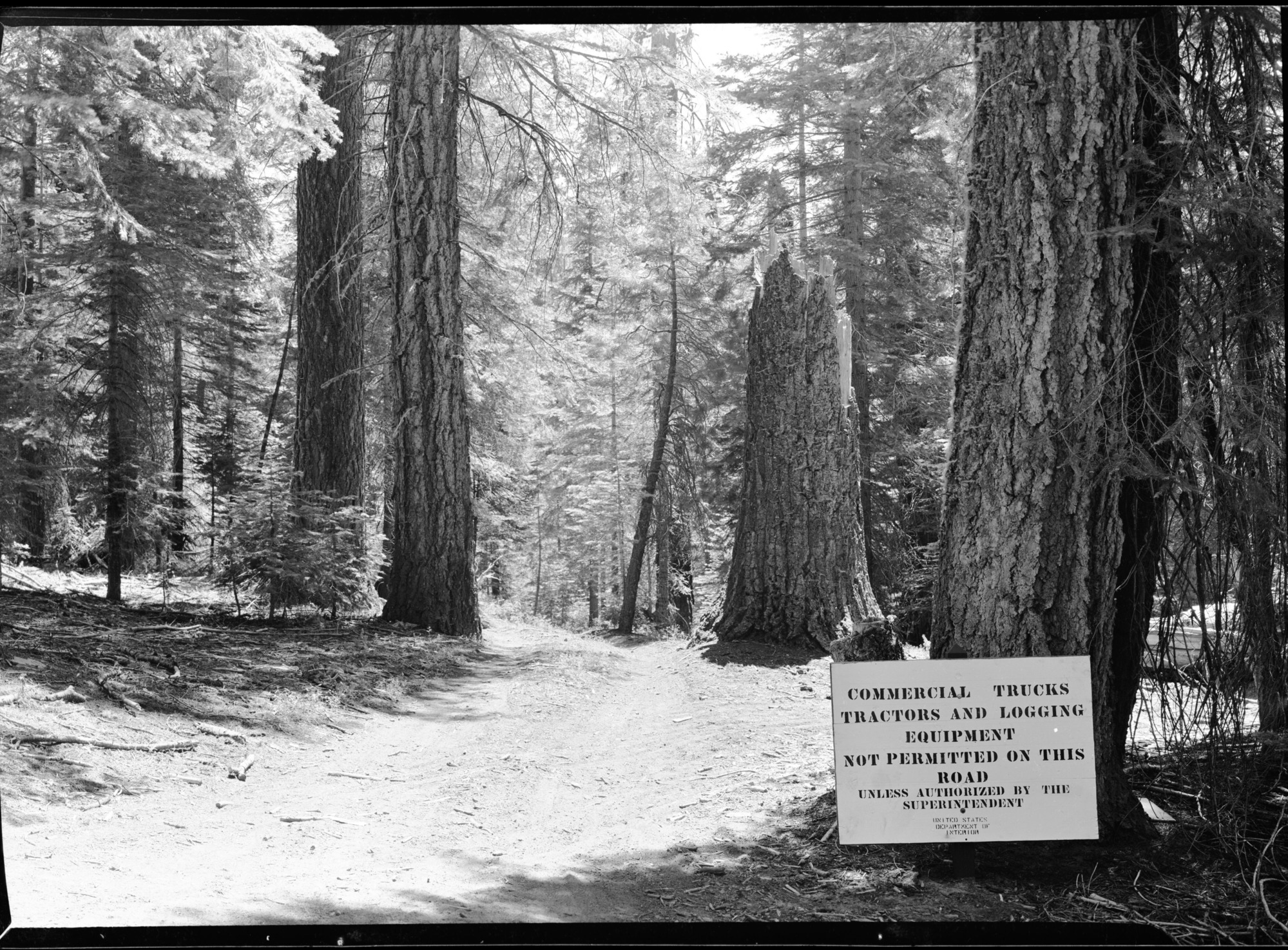 Aspen Valley logging operations.
