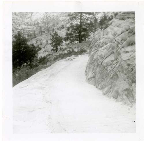 General view of the East Rim trail.