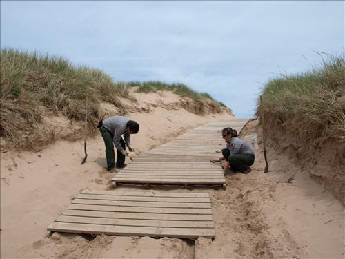 SLBE Pierce Stocking Scenic Drive - #9 Lake Michigan Overlook Spring Preparation