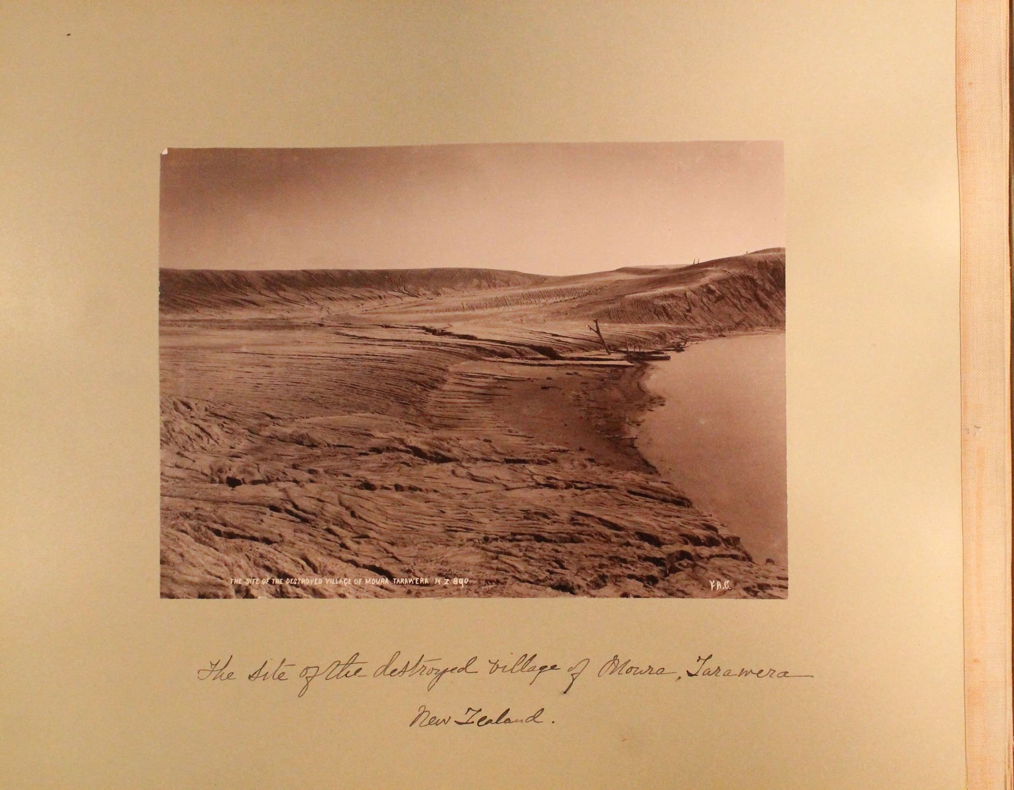 Appears to be a mud flow or lava sloping down toward a lake. A few dead trees visible.