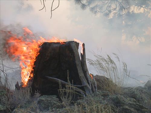 Little Hole prescribed burn at El Malpais National Monument, 2004