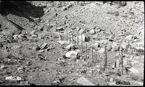 East boundary fence.