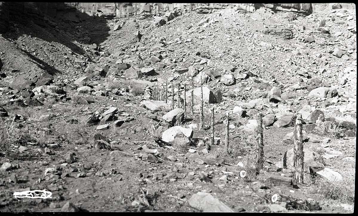 East boundary fence.