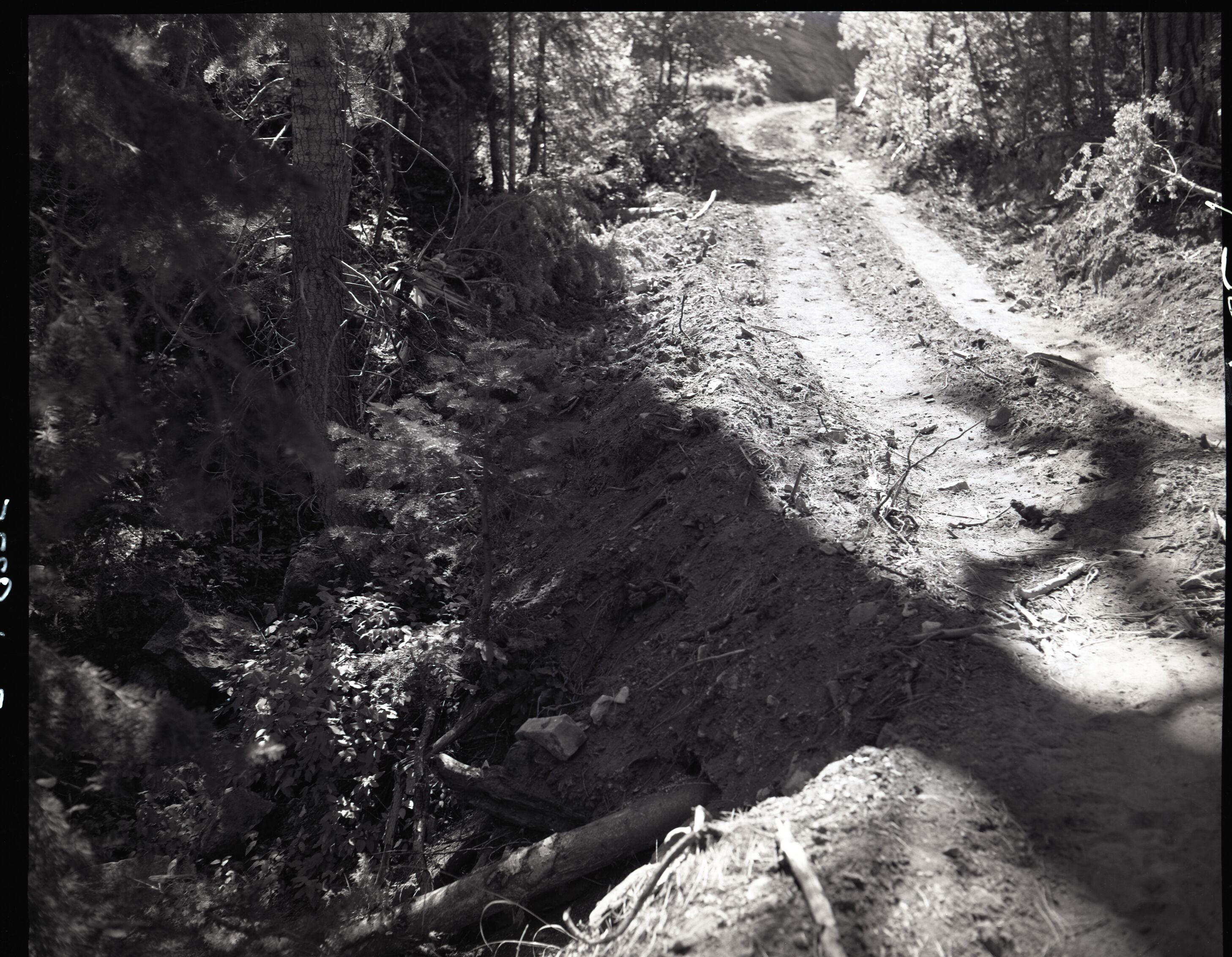 Dirt road from Potato Hollow to Kolob Creek bulldozer graded road section on park land.