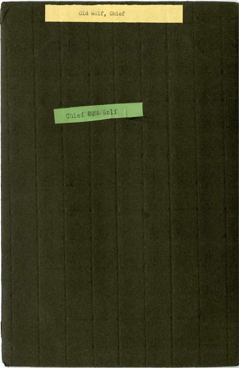 Portrait of Chief Old Wolf