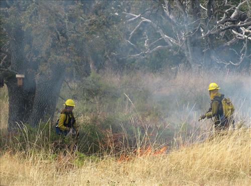 Prescribed Fire, Part 2