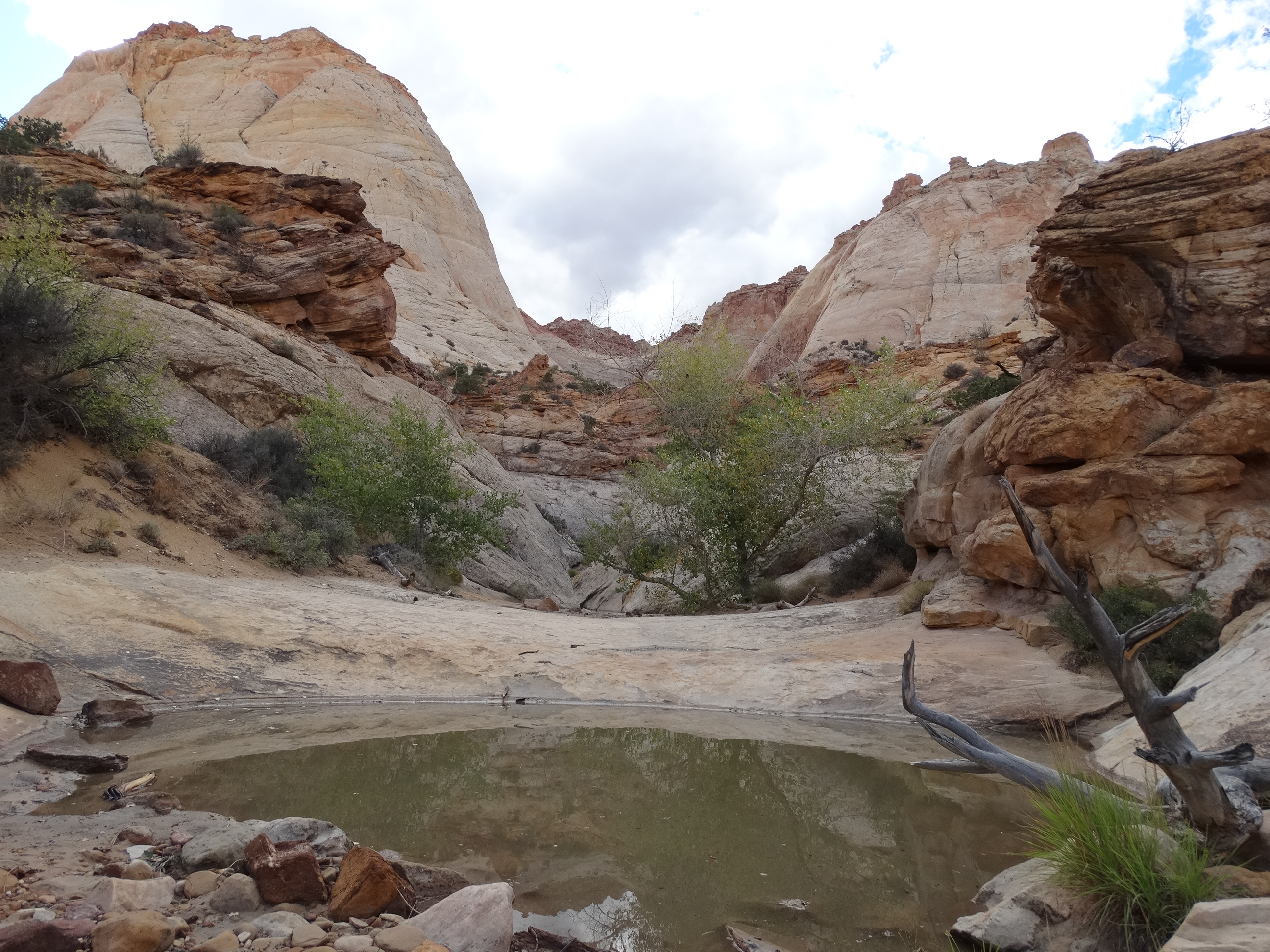 Pool of greenish water in the foreground, some grass and trees in the middle, with large tan and golden domed cliffs in the background, and a cloudy sky. 