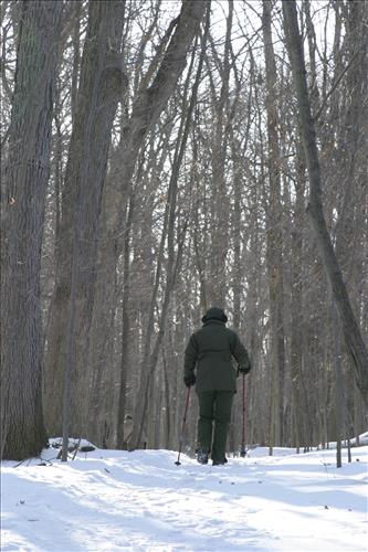 Winter Hiking at Stanford