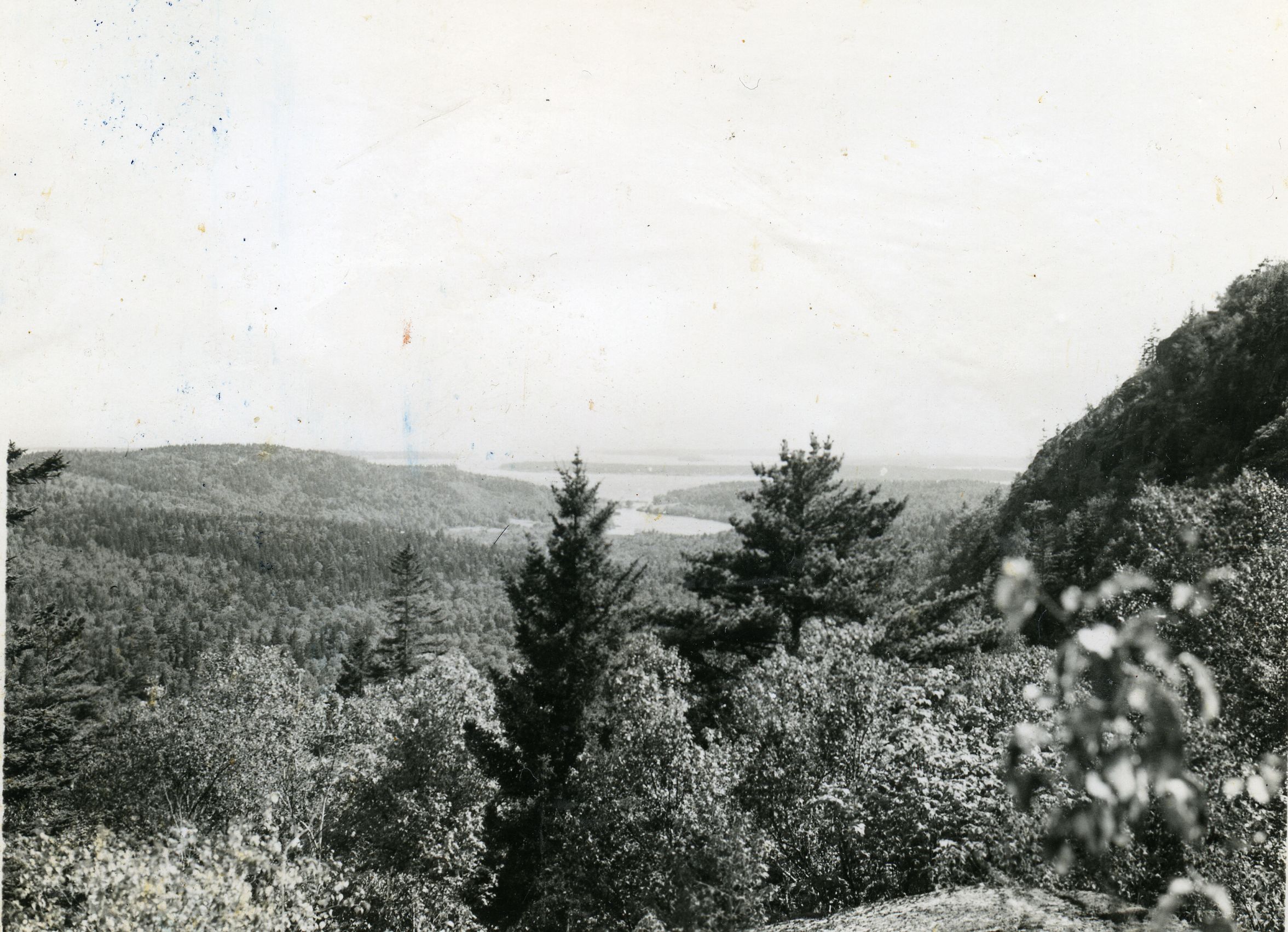 SEAL HARBOR FROM JORDAN MT.