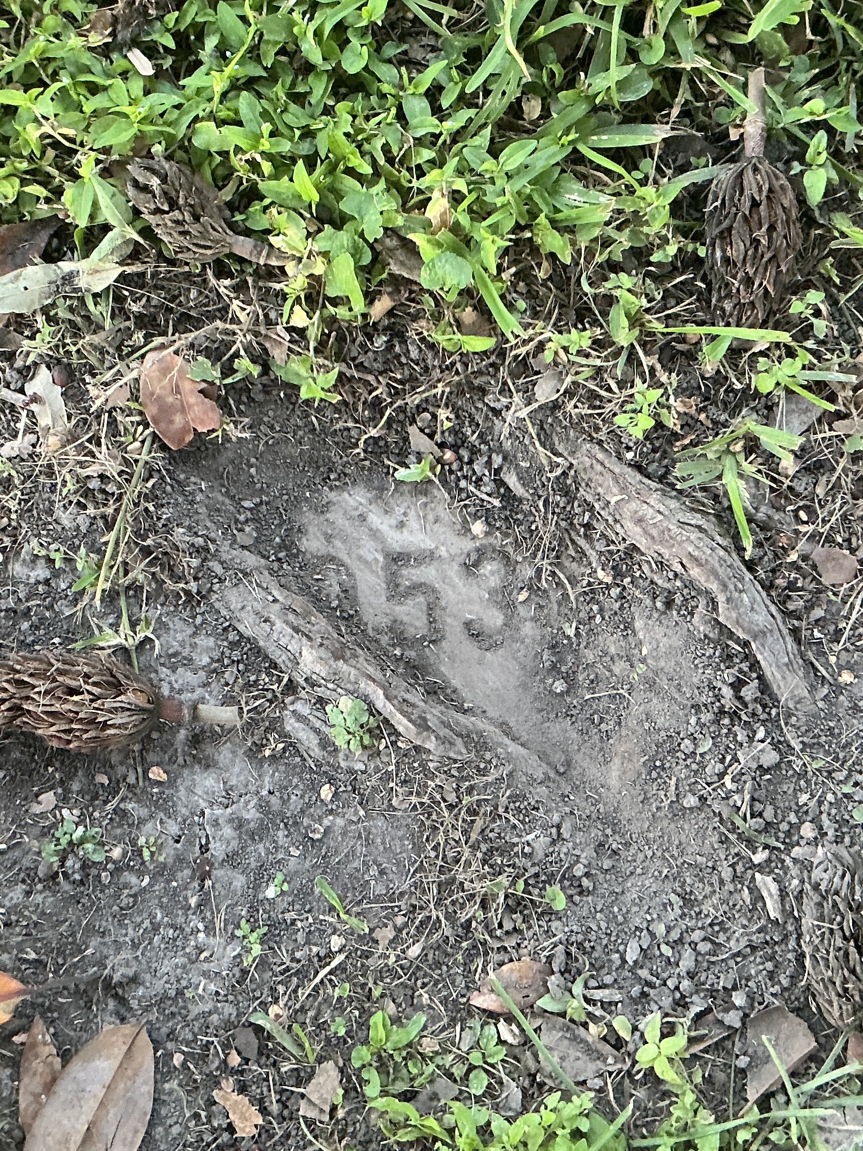 Top of flat marble marker