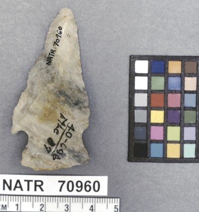 NATR   70960 -- Kirk Corner Notched Cluster projectile point