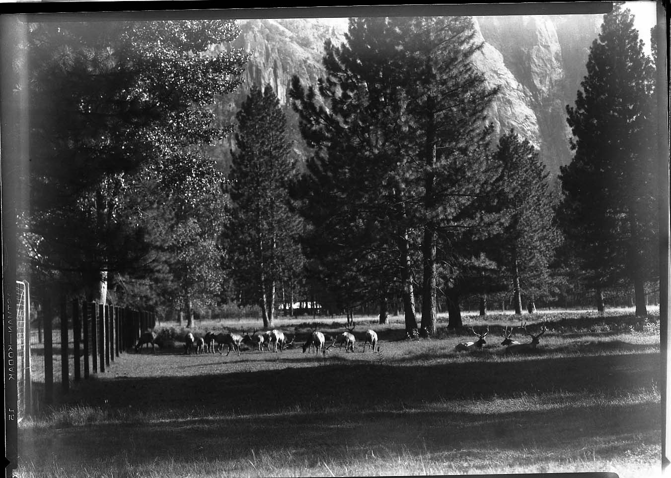 Yosemite National Park