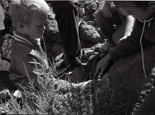 BW Photos of Junior Ranger Activities in Zion.