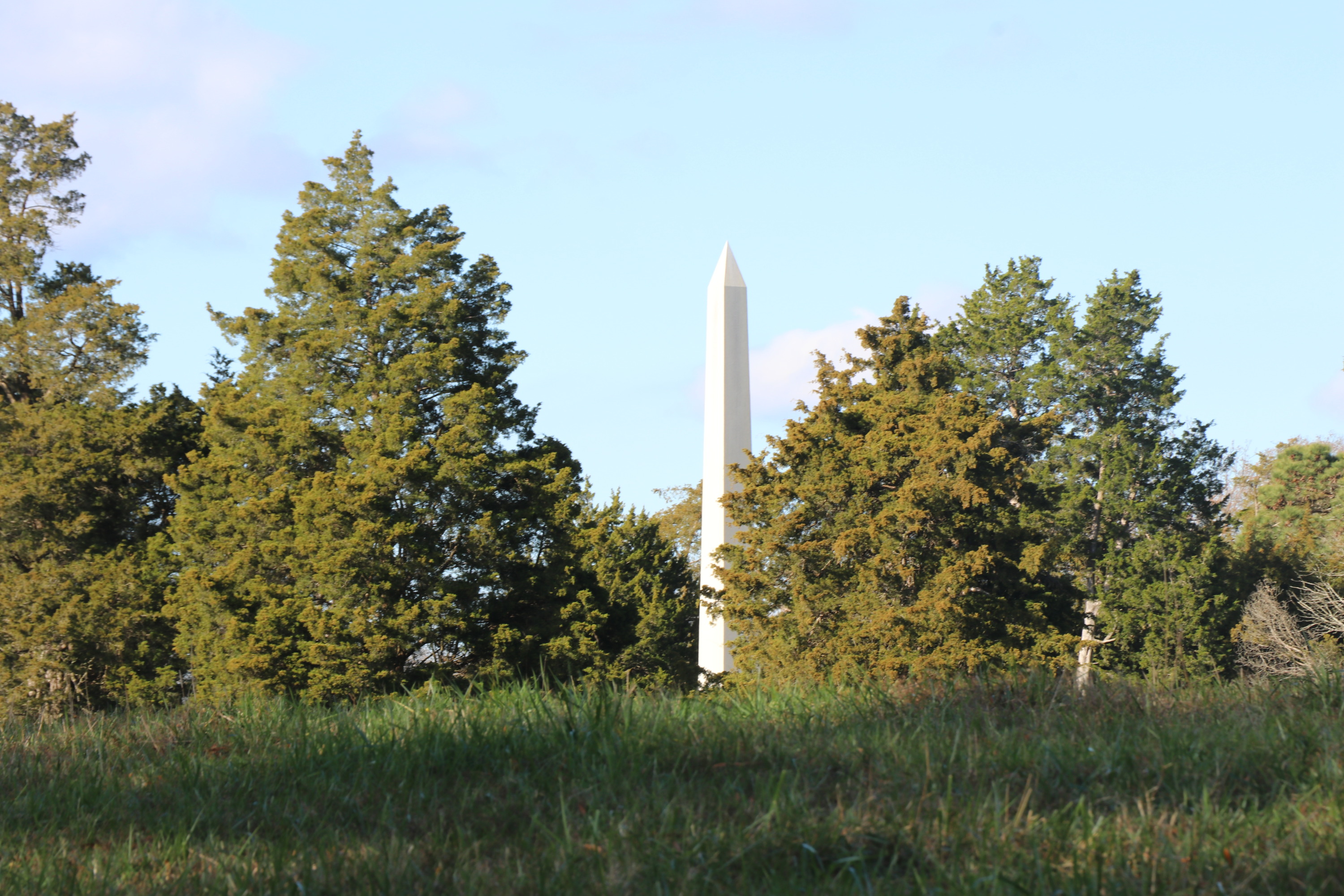 White obelisk, surrounded by trees, rising above a grassy slope
