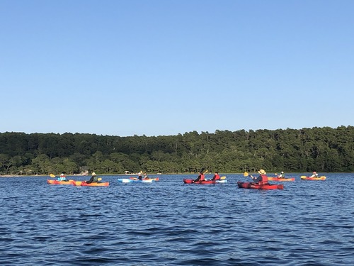 Kayaking on Gull Pond, 2019