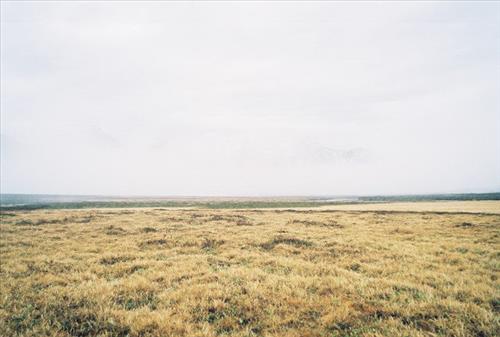 1 Gates of the Arctic National Park and Preserve Itkillik Birds June 2006