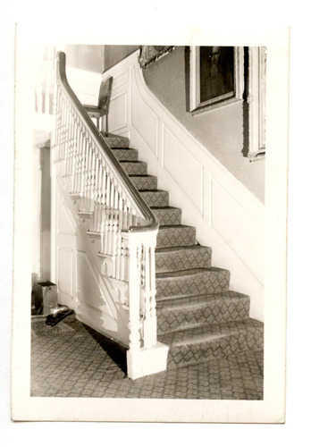 White staircase with dark diamond patterned carpet.