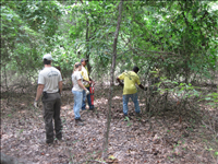 Exotic Plant Management Project at Arkansas Post National Memorial in summer 2011. Features before and after images of work completed during the exotic plant management project.  Also features some of the Youth Conservation Corps and Biological Technicians at work.
