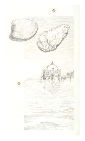 An oyster watchhouse at night using a searchlight with inset illustrations comparing a Northern quahog (clam) and a common oyster.
