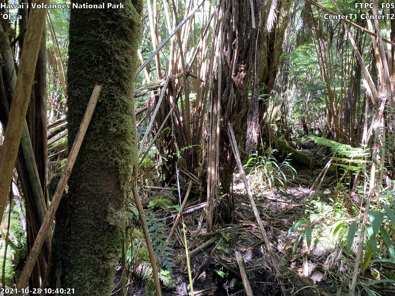 Eye-level view of plant community at monitoring site