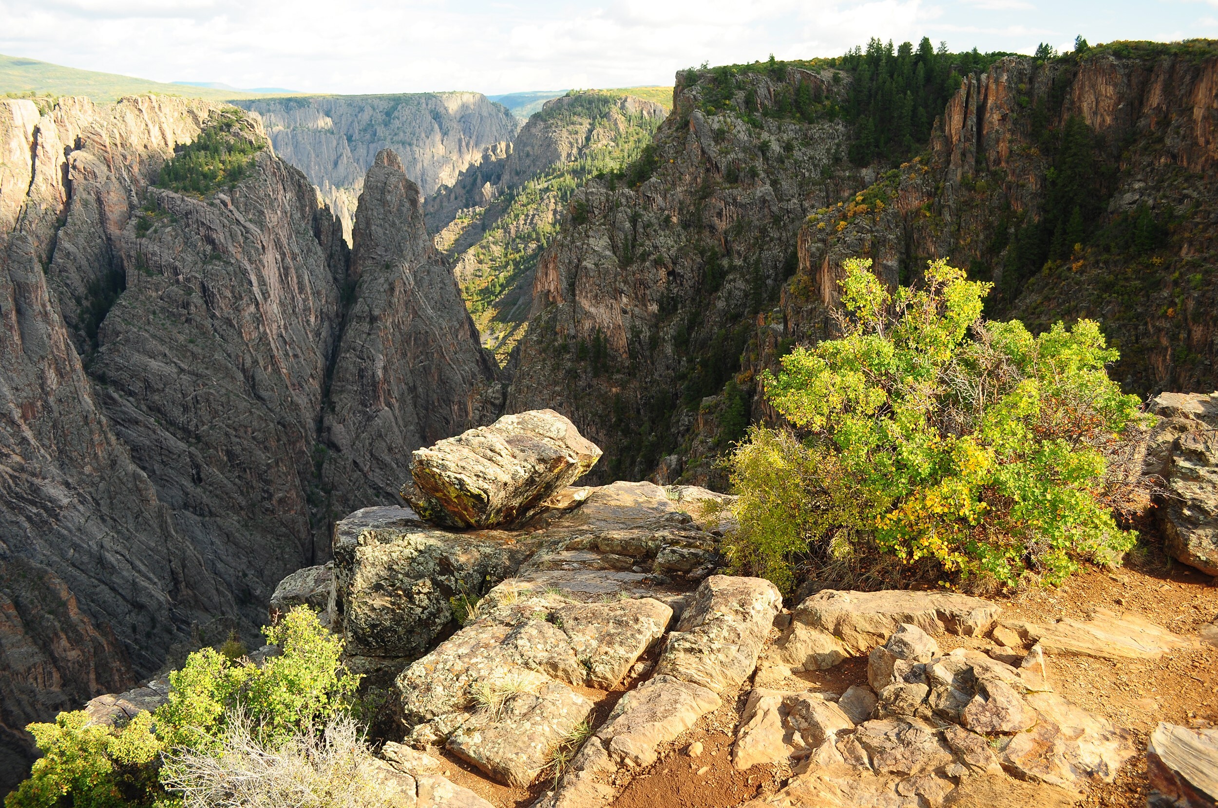 A view into the canyon from a rocky overlook with vegetation