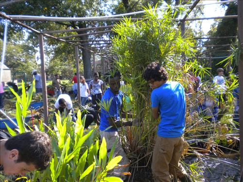 Youth Intern Program Horticultural Interns at Kenilworth Aquatic Gardens