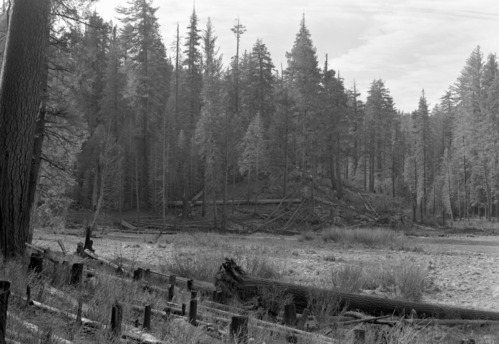 View along meadow of Cuneo property
