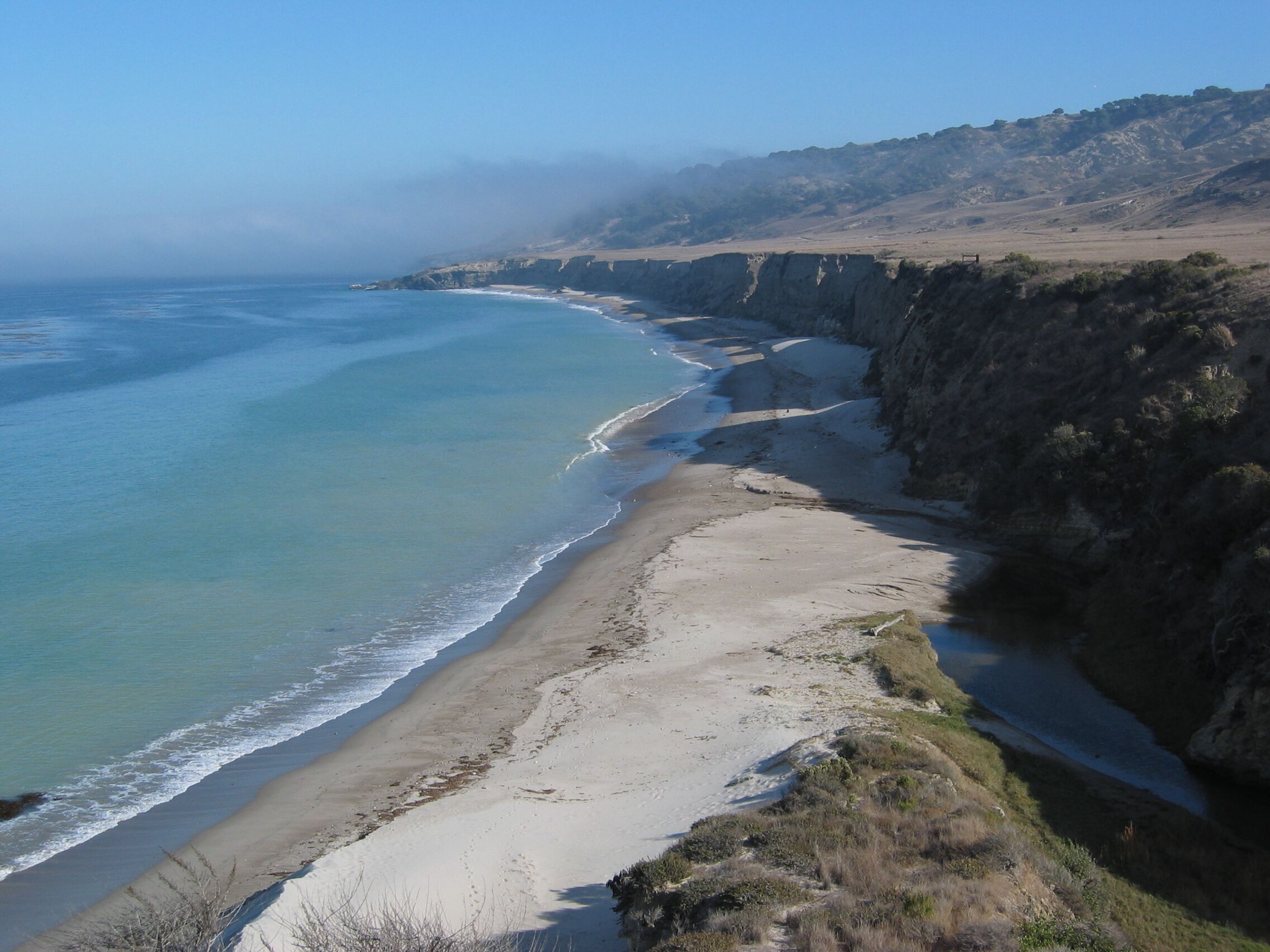 white sand beach with low blufs and trees on the ridgeline. 