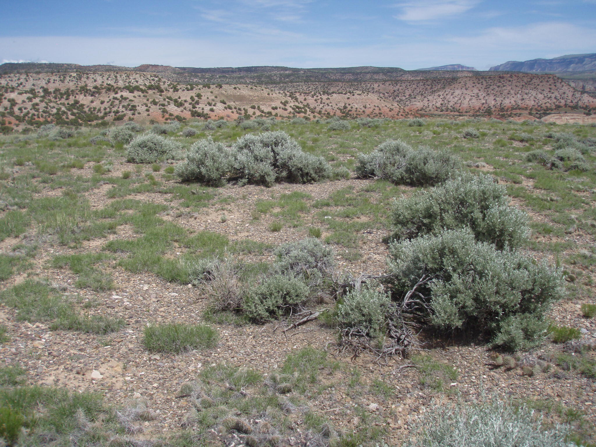 Image of the vegetation and landscape at photo point in Bighorn Canyon NRA 